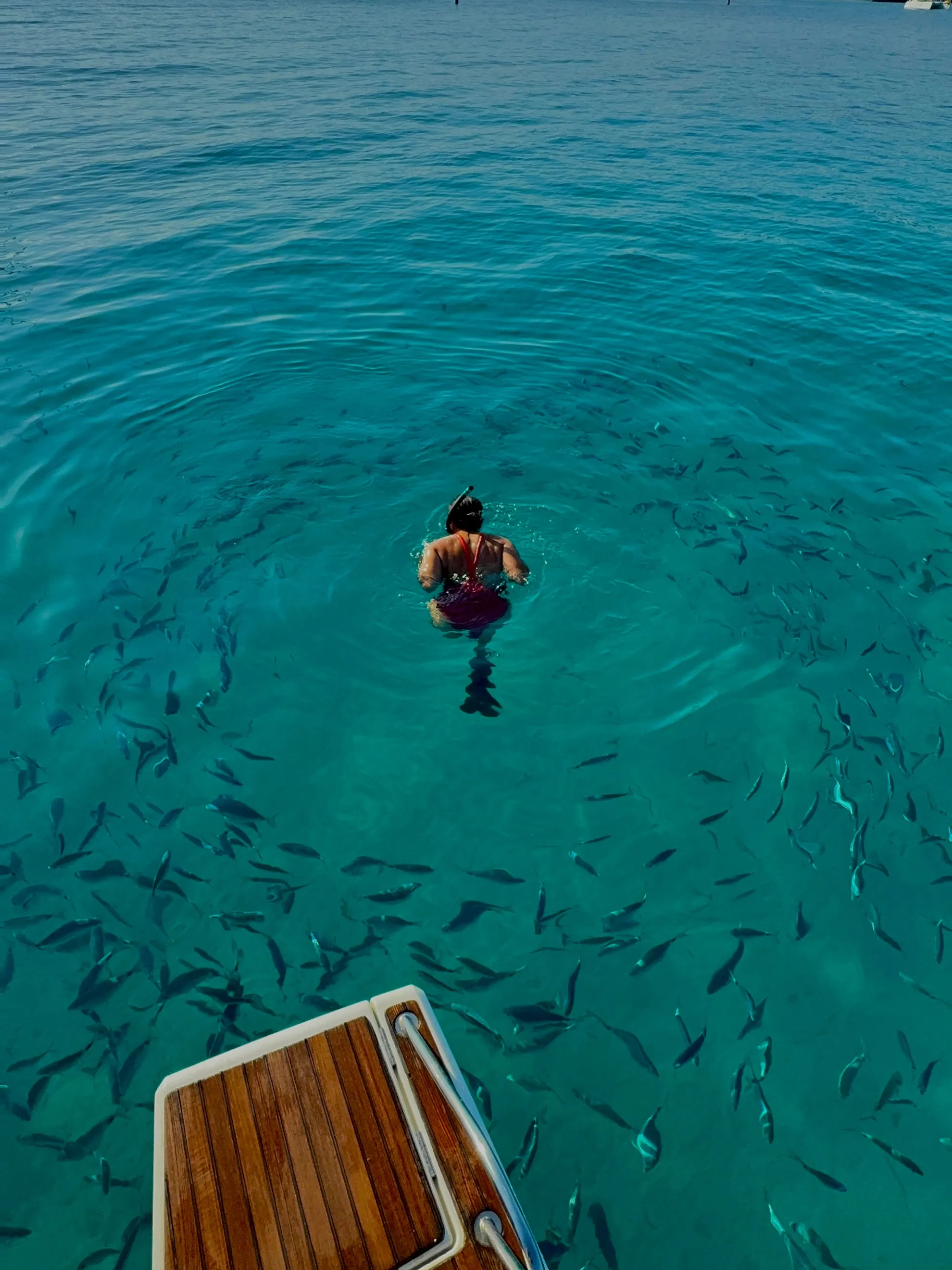 Écomusée & Sports Nautiques